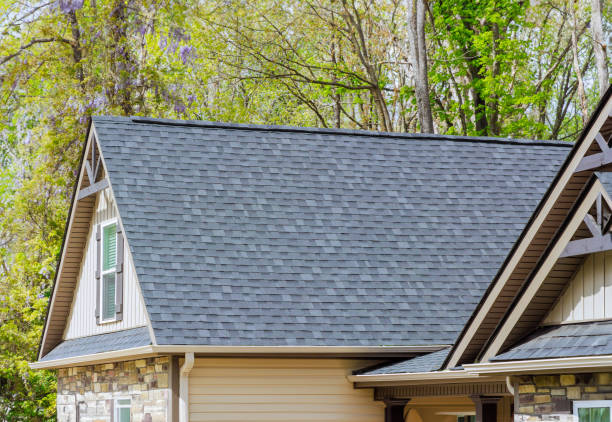 Best Roof Ventilation Installation  in Henderson, TX